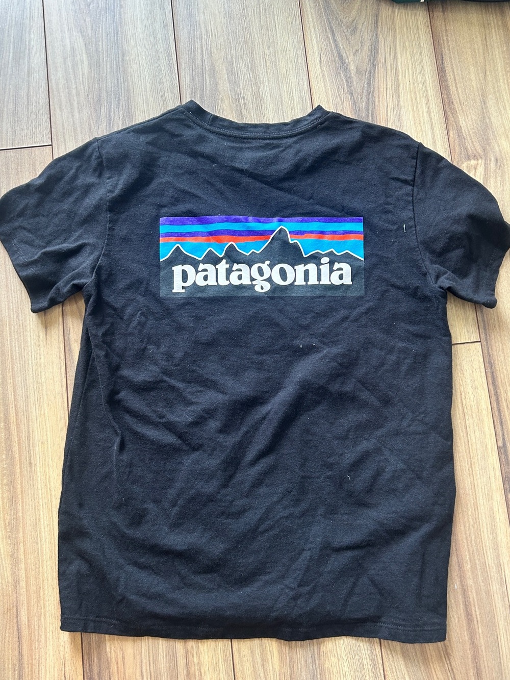 Patagonia Black Tee with Blue & Purple Mountain Logo
